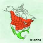 Blue-winged Teal range map