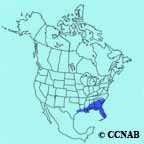 Blue Jay Southeastern range map