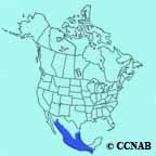 Blue Mockingbird range map
