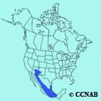 Bridled Titmouse range map