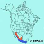 Broad-billed Hummingbird range map