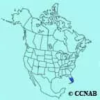 Budgie range map