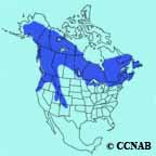 Canada Jay Range Map