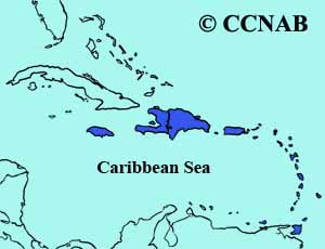 Caribbean Coot range map
