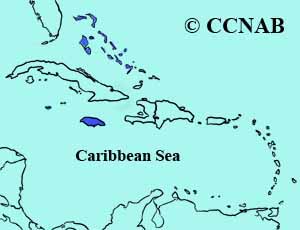 Caribbean Dove range map