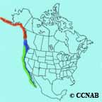 Cassin's Auklet range map