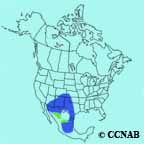 Chihuahuan Raven range map