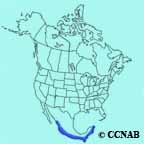 Cinnamon Hummingbird range map