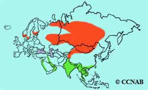 range map