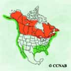 Common Loon range map