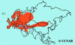 Common Swift range map