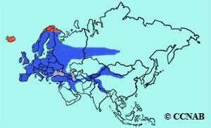range map