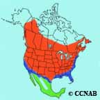 Common Yellowthroat range map