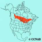 range map