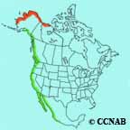 Dunlin (Pacific) range map