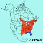 Eastern Whip-poor-will range map
