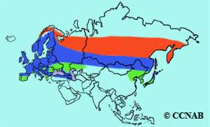 Eurasian Bullfinch range