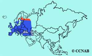 Eurasian Jackdaw range map