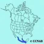 Golden-crowned Warbler range map