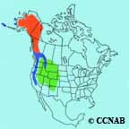 Gray-crowned Rosy-Finch range map