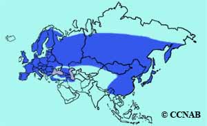 Great Spotted Woodpecker range map