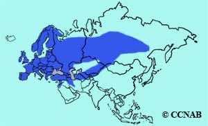 Great Tit range map