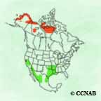 Greater White-fronted Goose range map