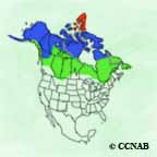 Gyrfalcon range map