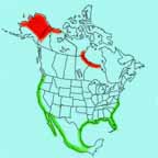Hudsonian Whimbrel range map