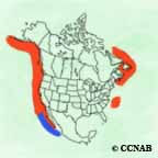 Leach's Storm-Petrel range map