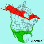 Least_Sandpiper range map
