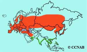 range map