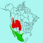 Long-billed Curlew range map