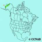 McKay's Bunting range map