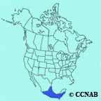 Mexican Violetear range map