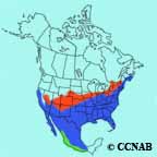 Northern Mockingbird range map