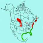 Piping Plover range map