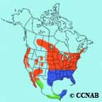 range map
