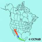 Red-faced Warbler range map