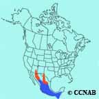 Rivoli's Hummingbird range map