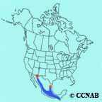 Rufous-capped Warbler range map