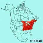 Scarlet Tanager range map