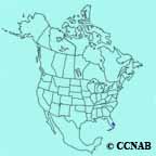 Seaside Sparrow (Dusky) range map