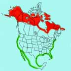 Semipalmated Plover range map