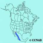 Sinaloa Wren range map