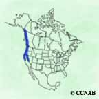 Sooty Grouse range map