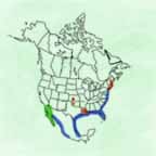 Tricolored Heron range map