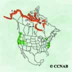 Tundra Swan range map