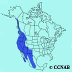 range map