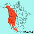 range map